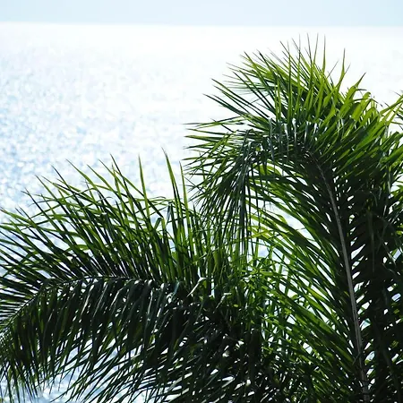 Apartment Stavento Argostoli (Kefalonia)